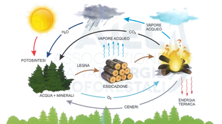 L’energia primaria esprime il contenuto di energia  non rinnovabile, rinnovabile e totale di ogni vettore energetico  Dal “pozzo” al punto di consumo