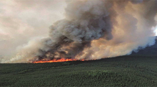 Incendi boschivi in una vasta porzione della Groenlandia occidentale - Le maggiori organizzazioni ambientali lanciano l’allarme