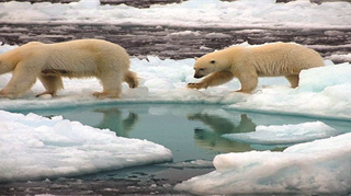 Studio su 40 modelli climatici, in team anche autori italiani