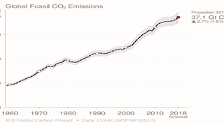 E all’orizzonte non sembra esserci quell’inversione netta di tendenza indispensabile per contrastare il cambiamento climatico. I dati del Global Carbon Project.