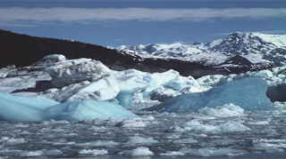 Punte di 18,3 gradi.Scienziati temono danni per piante e animali