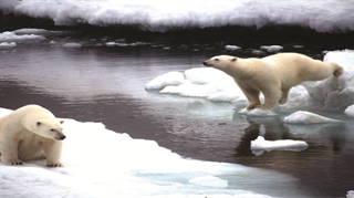 Aumento rispetto alle medie climatiche del Circolo polare Artico