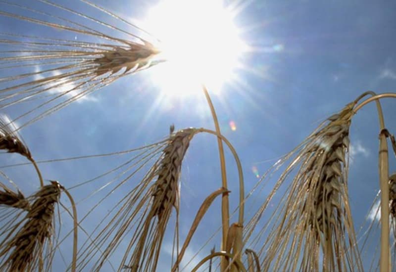 Onu: cambiamenti climatici implacabili, 'doppio colpo' con il Covid