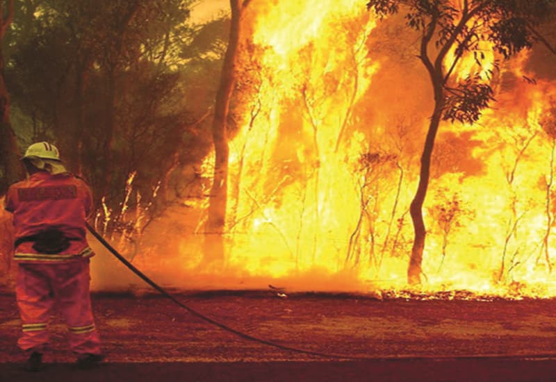 Bruciato 1/5 delle foreste in Australia, incendi 'senza precedenti'