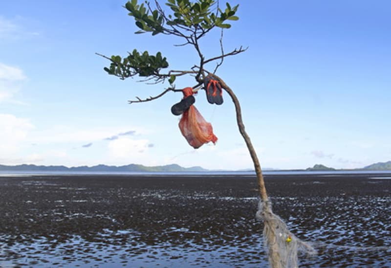 Quattordici milioni di tonnellate di plastica sotto l'Oceano